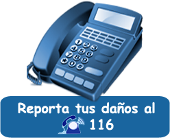 btns 116